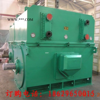 Y5602-2 1400KW 10KV IP23 西安西玛电机 风机水泵等用高压电机