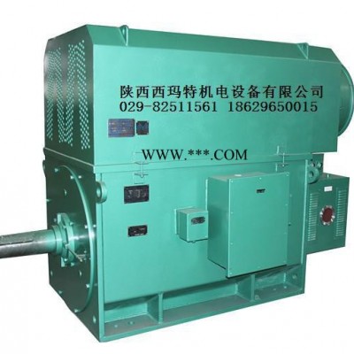 西安西玛电机YR6303-8 1250KW 10KV IP23破碎机绕线型高压电机