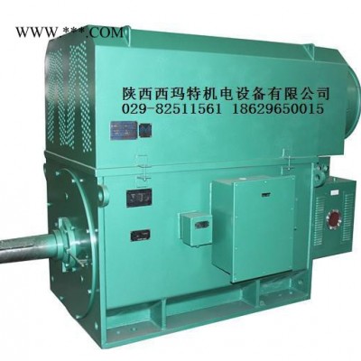 西安西玛电机YR5006-10 355KW 10KV IP23破碎机绕线型高压电机