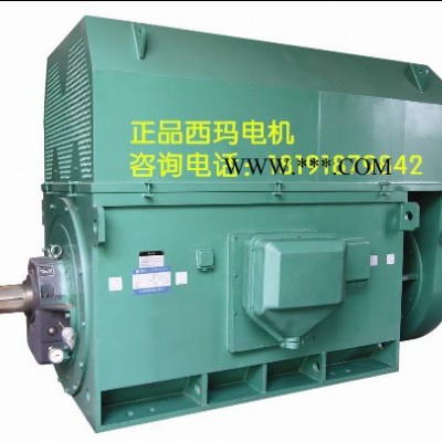 泰富西玛YKK5002-8 315KW 10KV IP54 西玛YKK 10KV高压电机