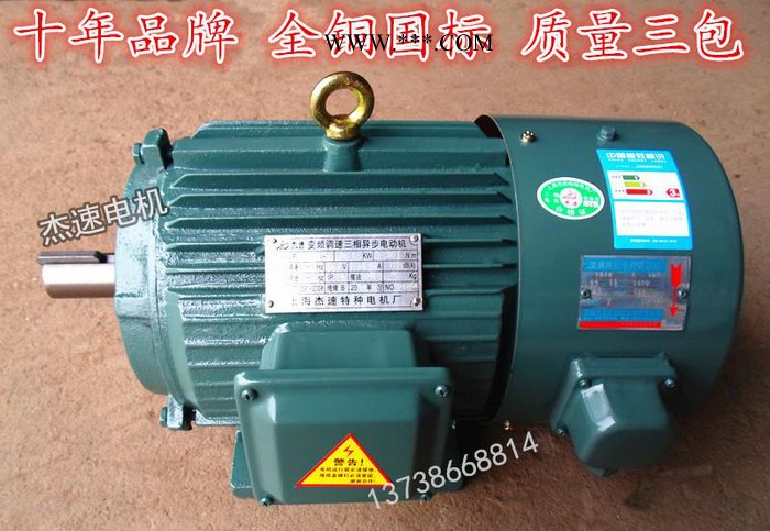 YVP225M-4 45KW变频马达三相变频电机/三相电机【全铜、】图1