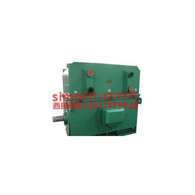 西玛YKS系列高压电机YKS5602-12  355KW  10KV 异步电动机