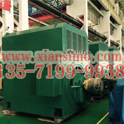泉州西玛电机总代理YRKK800-8/YRKK8007-8/1800KW-10000V大型绕线高压电机