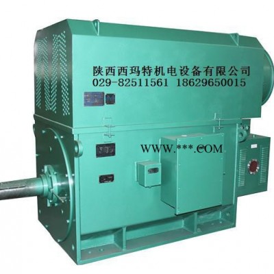 西安西玛高压电机YR5602-6 900KW 10KV IP23破碎机绕线型高压电机