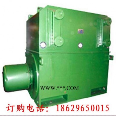西安西玛电机YKS5009-6 900KW 6KV IP54高压电机