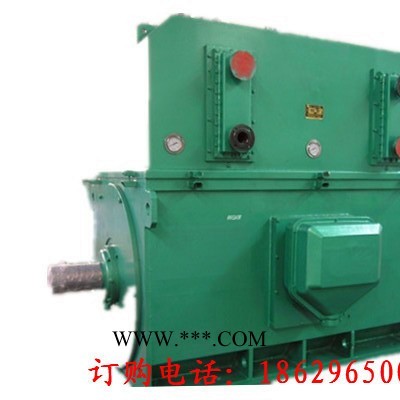西安西玛电机YKS4506-4 710KW 6KV IP54高压电机