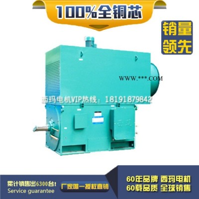 西安西玛电机YKS5004-2 1600KW 6KV IP54高压电机