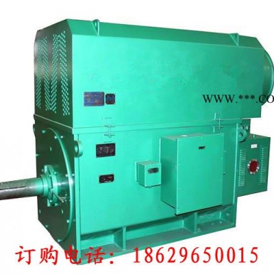 西玛高压电机直销Y5603-10 900KW 6KV IP23