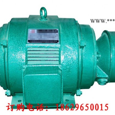 西安西玛电机YKS8002-12 1800KW 6KV IP54高压电机