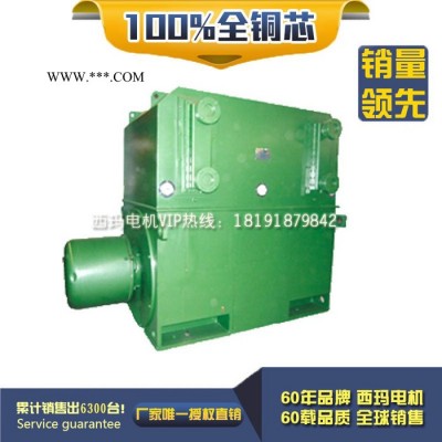 西安西玛电机YRKS8004-12 1400KW 6KV IP54绕线型高压电机