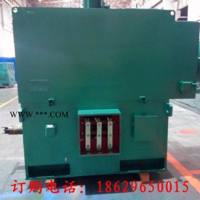 西安西玛电机YR8006-6 2800KW 10KV IP23破碎机绕线型高压电机