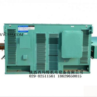 西安西玛电机YR450-4B 250KW 10KV IP23破碎机绕线型高压电机
