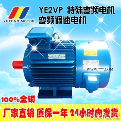 YE2VP-100L2-4 3kw YVP变频电机 变频调速