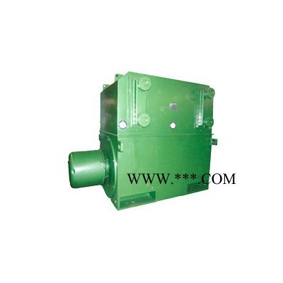 西安西玛电机YKS3554-4 315KW 6KV IP54高压电机