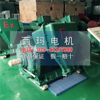 YB2-5004-8 560KW高压电机西安西玛电机