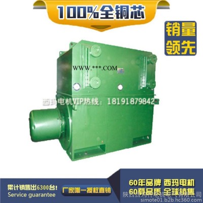 西安西玛电机YKS5002-6 560KW 10KV IP54高压电机