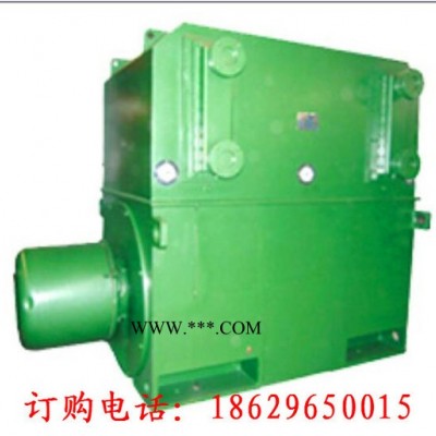 西安西玛电机YKS4509-10 355KW 6KV IP54高压电机