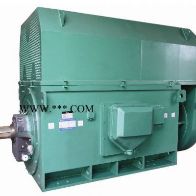 西安 西玛电机YKS5005-10 400KW 6KV IP54高压电机