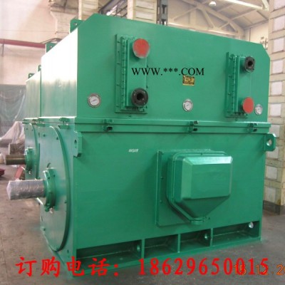 Y6302-6 1600KW 10KV IP23 西安西玛电机 风机水泵等用高压电机