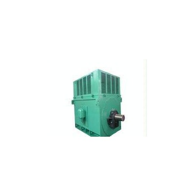 西安泰富西玛YR10004-12 5000KW 6KV高压电机 压缩机专用