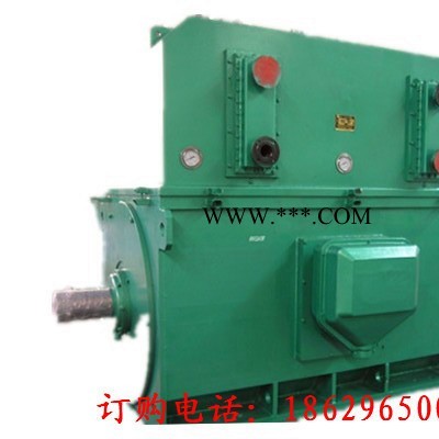 西安西玛电机YKS4505-4 630KW 6KV IP54高压电机