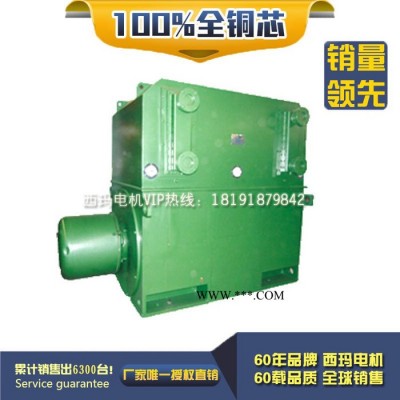 西安西玛电机高压电机YRKS5003-6 800KW 6KV IP54绕线型矿山电机