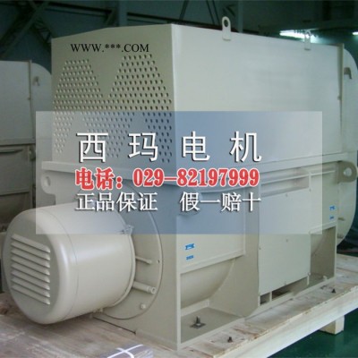 YRKS7101-12西玛牌高压电动机1120KW   6KV大型高压电机