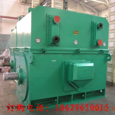 西安西玛电机YKS4507-8 355KW 6KV IP54高压电机