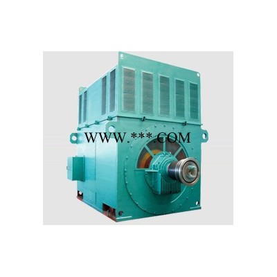 西安西玛电机YRKS6304-12 1000KW 6KV IP54绕线型高压电机