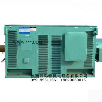 西安西玛电机YR4003-4 250KW 10KV IP23破碎机绕线型高压电机