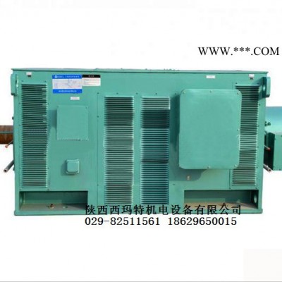 西安西玛电机YR5602-4 1250KW 10KV IP23破碎机绕线型高压电机