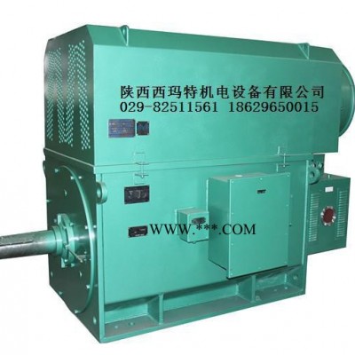 西安西玛电机YR6301-12 500KW 10KV IP23破碎机绕线型高压电机