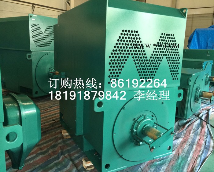 YRKK7101-10 1120KW 6KV IP44/IP54 破碎机西玛绕线型高压电机 西玛电机