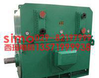 西安西玛牌高压电机YKS5001-10  220KW  10KV 三相异步电动机