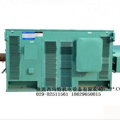 西安西玛电机YR8006-12 1250KW 10KV IP23破碎机绕线型高压电机