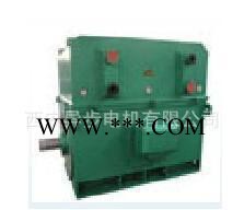 西玛高压电机YKS6301-12  560KW  10KV 三相异步电动机
