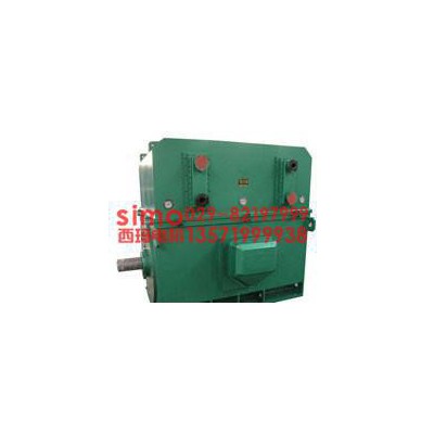 西安高压电机YKS5601-12  315KW  10KV 三相异步电动机