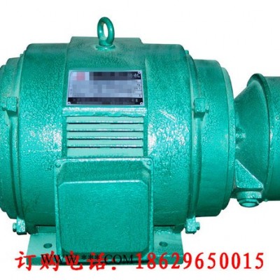 西安西玛电机YR6301-12 710KW 6KV IP23破碎机专用绕线高压电机