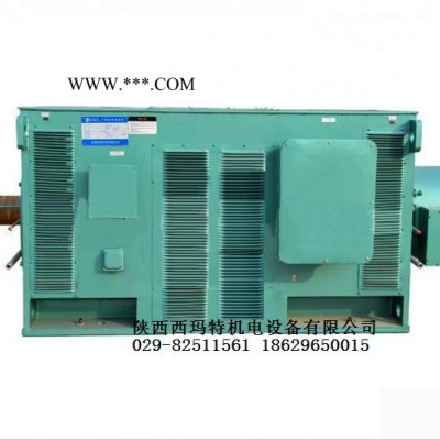 西安西玛电机YR6304-10 1000KW 10KV IP23破碎机绕线型高压电机