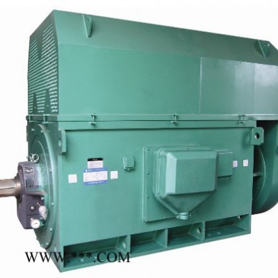 YRKK4503-12 185KW 6KV IP44/IP54 破碎机专用西玛绕线型高压电机 西玛电机