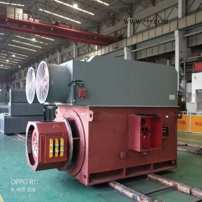 YRKK710-12 800KW 6KV IP44/IP54 破碎机专用西玛绕线型高压电机 西玛电机