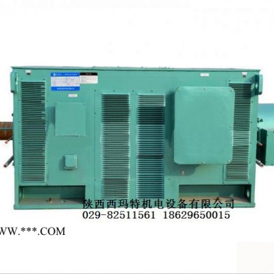 西安西玛电机YR8008-16 1000KW 10KV IP23破碎机绕线型高压电机