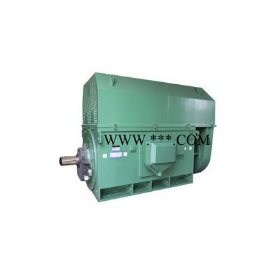 Y4001-4 220KW 10KV IP23 西安西玛电机 风机水泵用高压电机