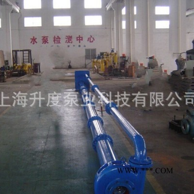 FY泵/FYB65/80/100不锈钢液下泵/无泄漏液下泵/泵头/直营