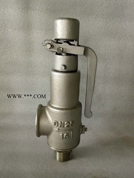 玉环巨龙A21F-25P 安全阀