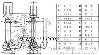 500YW2400-22-220长轴液下泵