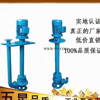 生产销售100YW80-9-4液下泵无堵塞泥浆泵 单双管液下