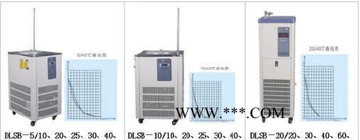 【低温冷阱】DFY10L-40℃（10L）恒温冷槽.低温泵.