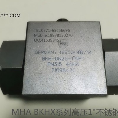 MHA高压球阀BKH-DN25-1NPT-44HA