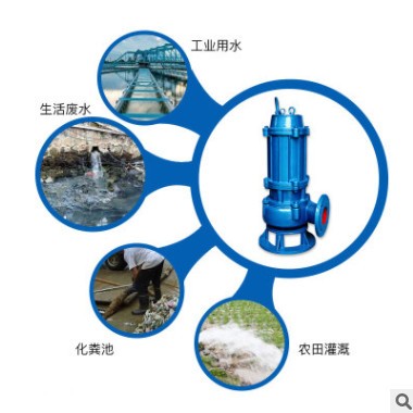 50QW10-10-0.75 耐腐蚀 化工 排污泵 污水排污泵 潜水排污泵